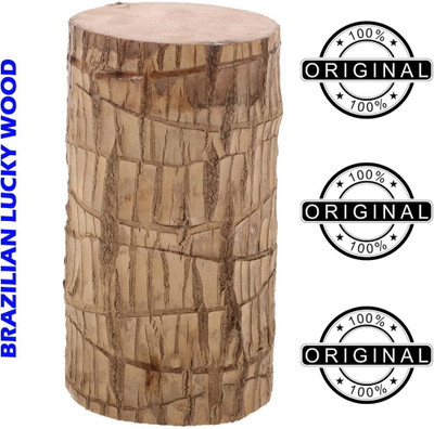 SHREYAGREEN Mini Brazalian wood(Hybrid, Pack of 1)