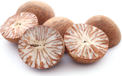 GLOBQRO Betel Nut/Supari Plant(Hybrid, Pack of 1)
