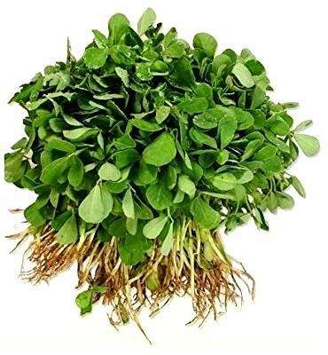 Aywal Organic methi dana - fenugreek seeds - trigonella foenum-graecum Seed(350 per packet)