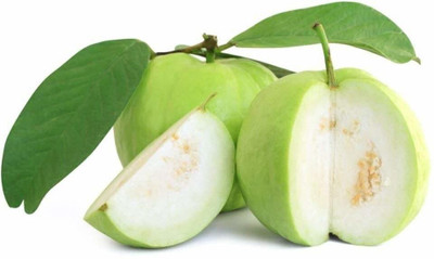 Bakuchi Guava Plant(Hybrid, Pack of 1)