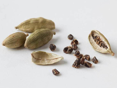 GreenyOn Elaichi/Cardamom Plant(Hybrid, Pack of 1)