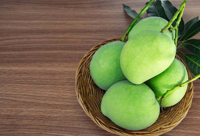 PlantQuipo Mango Plant(Hybrid, Pack of 1)