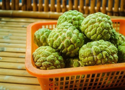 Cloud Farm Custard Apple Plant(Hybrid, Pack of 1)