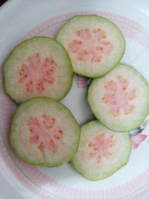 Aywal Taiwan Guava Hybrid Seed(120 per packet)