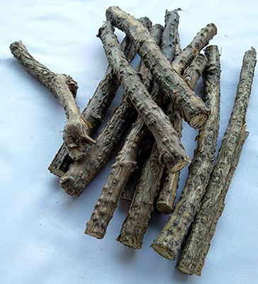 VibeX Giloye/Giloy Plant/Neem Tree Guruch Fresh Stems Seed(2 per packet)