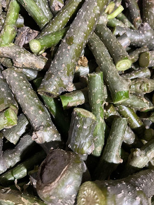 prev Giloye/Giloy Plant/Neem Tree Guruch Fresh Stems Seed(25 per packet)