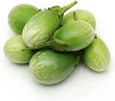 ibains Round brinjal seeds for garden Seed(125 per packet)