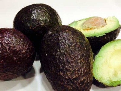 Elanthalir Avocado Plant(Hybrid, Pack of 1)