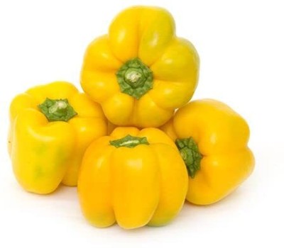 Qualtivate GBPT-1A YELLOW CAPSICUM VEGETABLE SEEDS Seed(100 per packet)