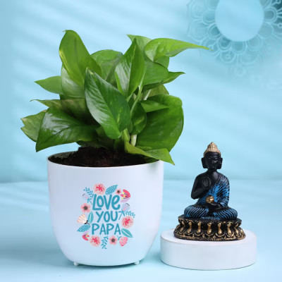 Floweraura Money Plant(Pack of 1)