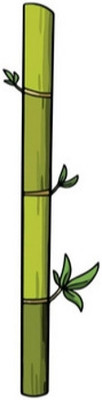 PlantsMart Two Layer Bamboo Plant(Pack of 1)
