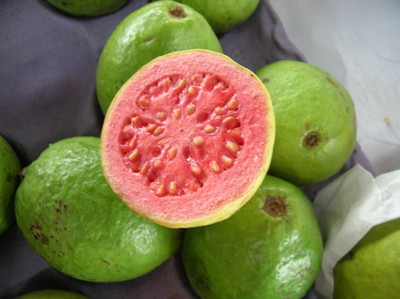 Ukanda Guava Plant(Hybrid, Pack of 1)
