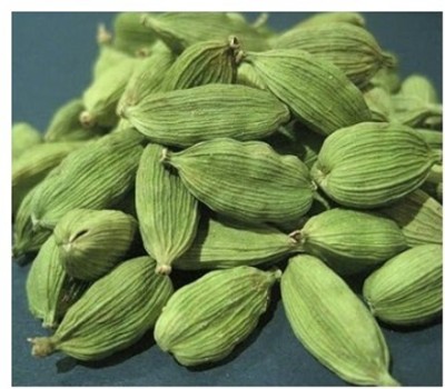 Treeicks Elaichi/Cardamom Plant(Hybrid, Pack of 1)