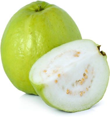 GLOBQRO Guava Plant(Hybrid, Pack of 1)
