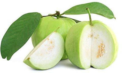 Aywal Taiwan Guava Hybrid Seed(45 per packet)
