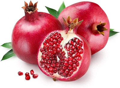 Seedsqlty pomegranate seeds Seed(40 per packet)