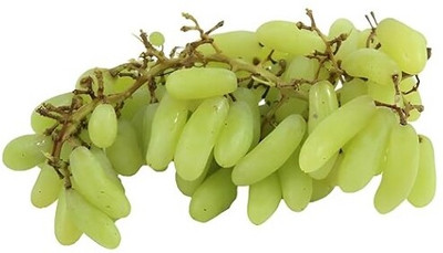 Treeicks Grapes Plant(Hybrid, Pack of 1)