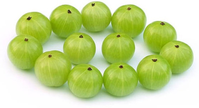 KUMUBON Amla Plant(Hybrid, Pack of 1)