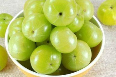 Green view Amla Plant(Hybrid, Pack of 1)