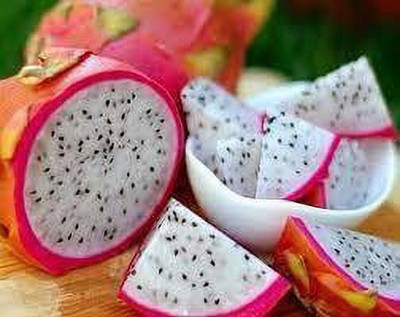 AFARTIOBINA Dragon Tree(Hybrid, Pack of 1)