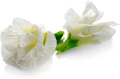 ALOCHUZ Aparajita/ Butterfly Pea Plant(Hybrid, Pack of 1)