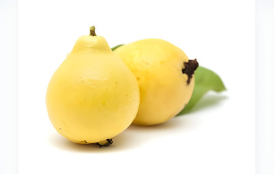 Green view Guava Plant(Hybrid, Pack of 1)