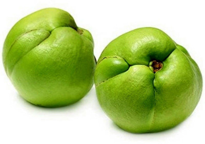 the green dotcom Elephant Apple Plant(Hybrid, Pack of 1)