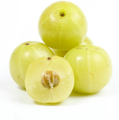 ALOCHUZ Amla Plant(Hybrid, Pack of 1)