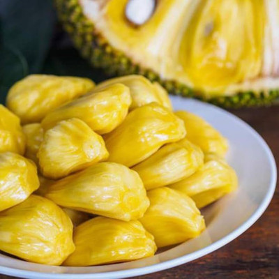 Leafyjoy Jackfruit Plant(Hybrid, Pack of 1)