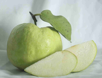 LeafLinkPlants Guava Plant(Hybrid, Pack of 1)
