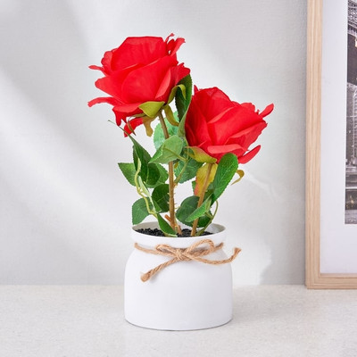 MondallNursery Rose Plant(Hybrid, Pack of 1)