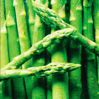 WILLVINE Green Perennial Heirloom Asparagus Efficient Planting Healthy -[100 Seeds] Seed(100 per packet)