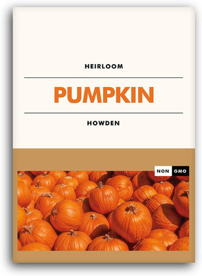 WILLVINE LX-751 Pumpkin Seed Packet - Howden Seed(50 per packet)
