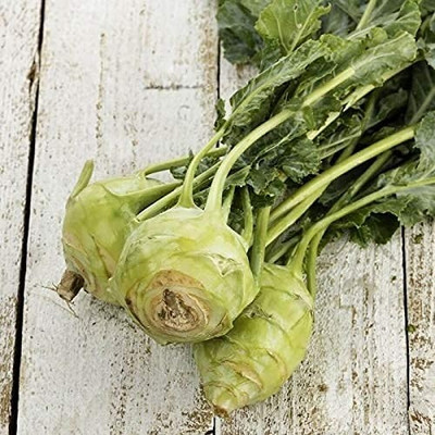 Aro Knol Khol, Kohlrabi Seed(42 per packet)