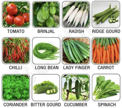 FRESHO All Mixed Vegetable Seeds Seed(150 per packet)