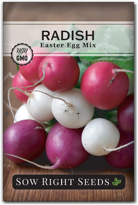 CYBEXIS VVI-21 - Easter Egg Radish - (750 Seeds) Seed(750 per packet)