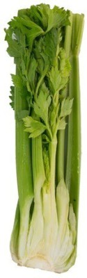 Quentova Organic Green Celery Vegetable-10M-VII Seed(200 per packet)