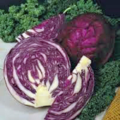 WILLVINE GBPUT -III Cabbage Seed, Red Acre, Heirloom [2.5g] Seed(750 per packet)