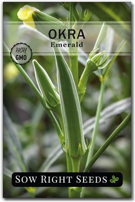 Qualtivate RES-9A Emerald Okra Seeds Seed(350 per packet)