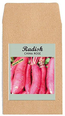 CYBEXIS Hybrid Vegetable Seeds-Radish China Rose600 Seeds Seed(600 per packet)