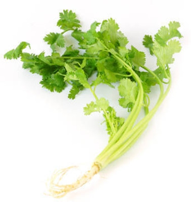 EKAKSHAR CORIANDER Seed(40 per packet)