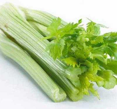 KNESSiN Celery Seed(200 per packet)