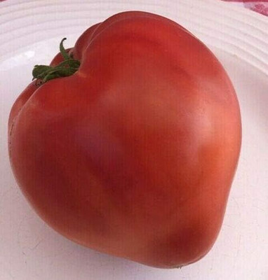 Biosnyg Hybrid Pink Oxheart Tomato Seeds for Terrace Gardening - (2000 Seeds) Seed(2000 per packet)