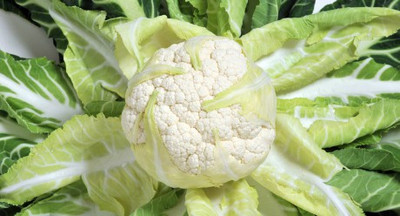 CYBEXIS CAYLEN Cauliflower Variety2000 Seeds Seed(2000 per packet)