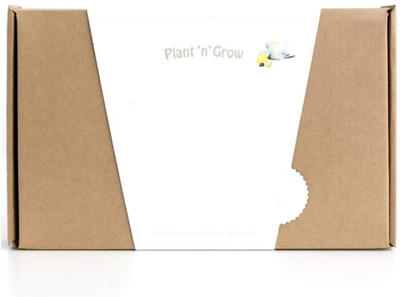 VibeX Jaamun - Complete DIY Gardening Kit Seed(24 per packet)