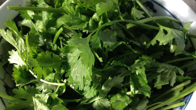ZIXA Coriander Seed(100 per packet)