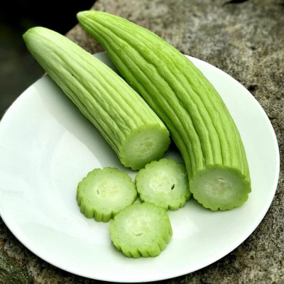 ENINE Vegetable Seeds Cucumber Kakdi Seeds Long Melon DF417 Seed(50 per packet)