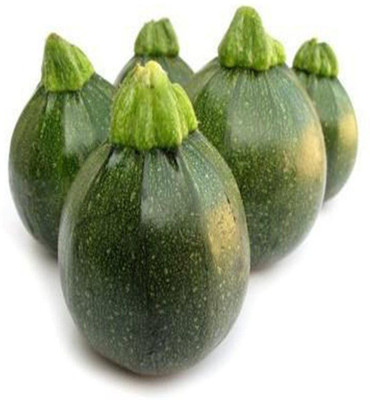 Qualtivate HUA-8A Summer Squash - Chappan Kaddu Seed(30 per packet)