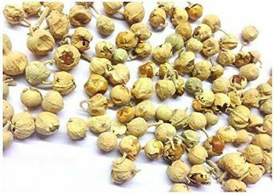 Shyamkripa creation Panner Phool Seed(1 per packet)