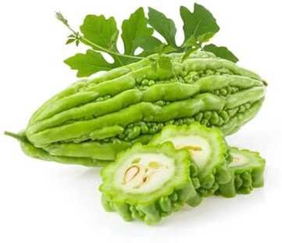 Paudhaa F1 BEST QUALITY BITTER GOURD SEEDS Seed(25 per packet)
